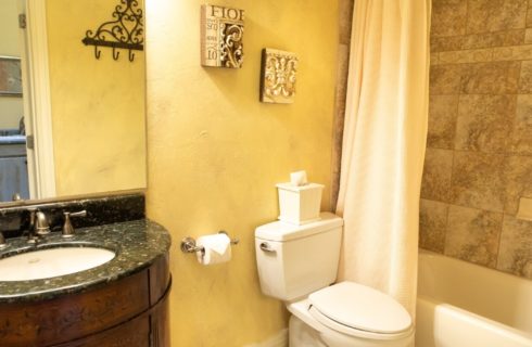 Bathroom with tiled shower and tub, toilet and dark brown vanity with large mirror